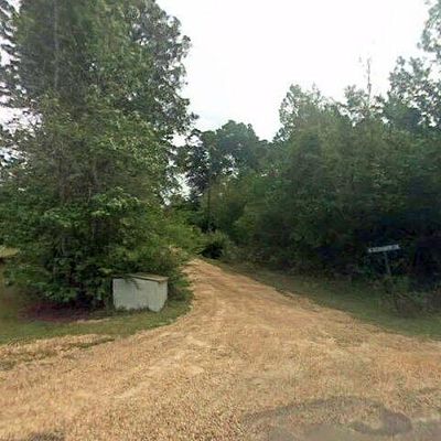 85 Jessie Wallace Rd, Jayess, MS 39641