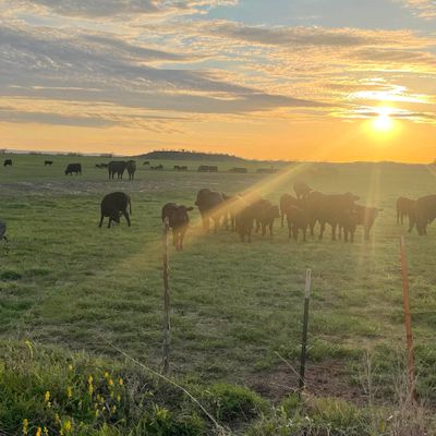 Cr 200, San Saba, TX 76877