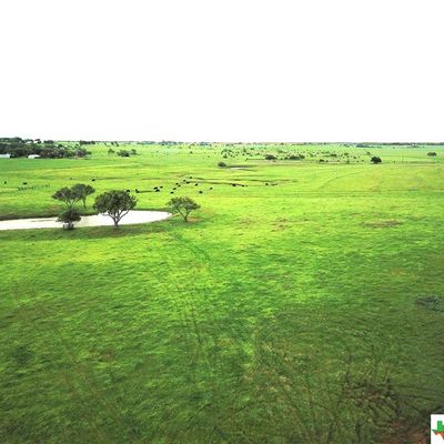 0000 Lone Tree Road, Yoakum, TX 77995