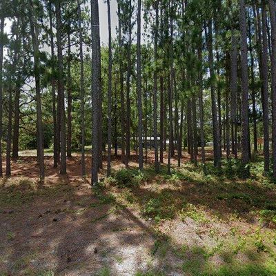 1517 Pond Branch Rd, Gilbert, SC 29054