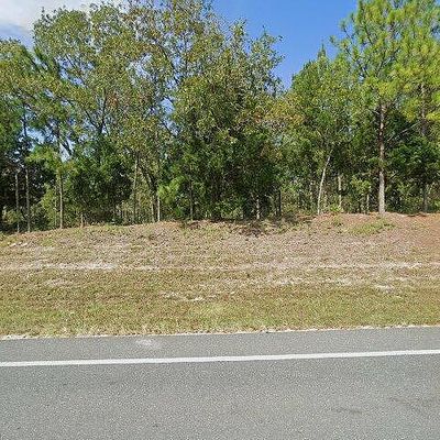 2699 N Us Highway 129, Bell, FL 32619