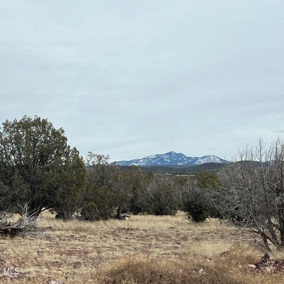 287 Nw Canyon Road, Williams, AZ 86046