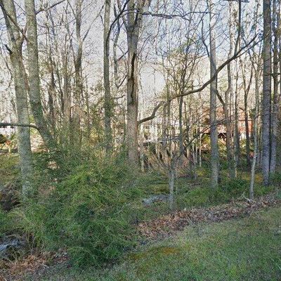 50 Cottontail Trl, Maggie Valley, NC 28751