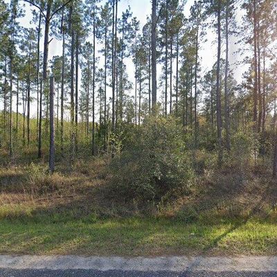 46548 Sauls Rd, Callahan, FL 32011