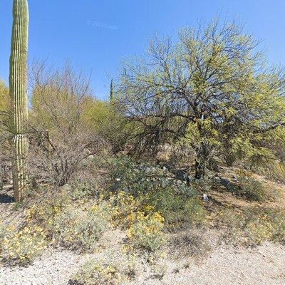 4838 N Territory Loop, Tucson, AZ 85750