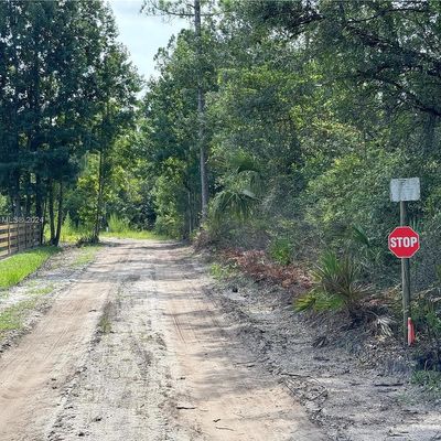 County Road 335, Other City In The State Of Florida, FL 32110