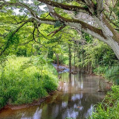 Keapana Farms #2, Kapaa, HI 96746