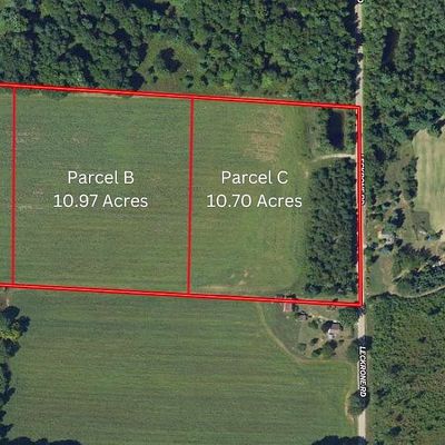 Leckrone Rd Parcel B, Brethren, MI 49619