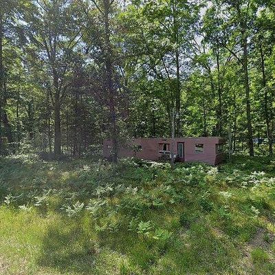 N Shamrock Ave, Merrill Township, MI 49309