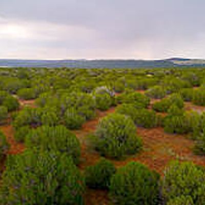 Tbd Rebel Yell Rd. 10 Acres, Show Low, AZ 85901