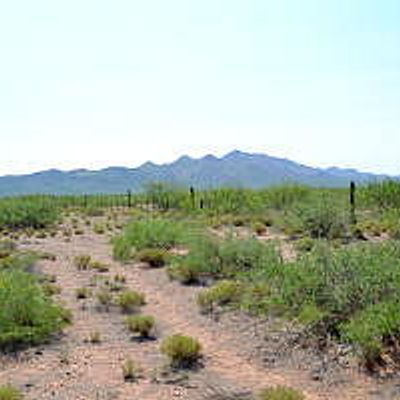 Tbd W Agua Blanca Road, Elfrida, AZ 85610