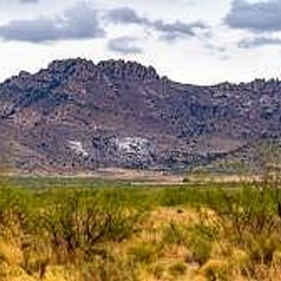 Three Triangles Ranch 41 Acres    37, Portal, AZ 85632