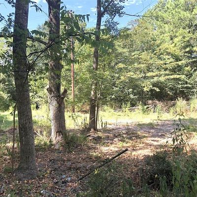 Tract 3.1 Sylvia Trail, Coldspring, TX 77331