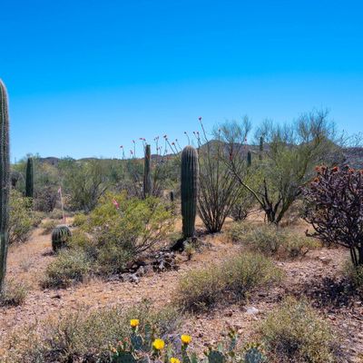 W Ironwood Hills Drive, Tucson, AZ 85745