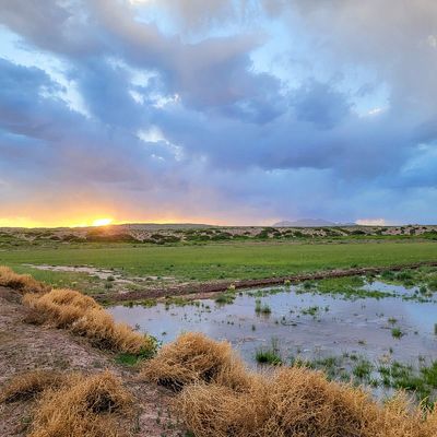 Sevilleta Hills Elk Ranch, Socorro, NM 87831