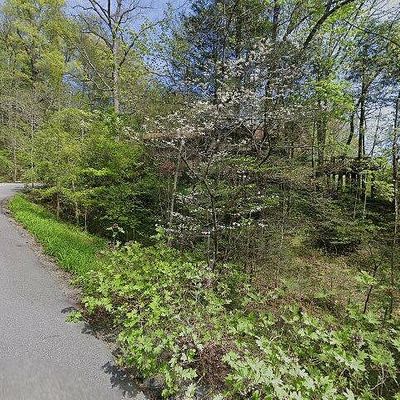 310 Mountain Ct, Gatlinburg, TN 37738