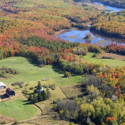 313 Acres 63999 Wolanek Rd, Marengo, WI 54855