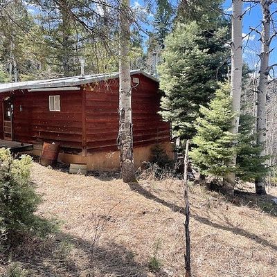 321 Iron Gate Rd, Tererro, NM 87573