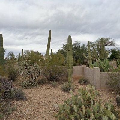 6901 N Wade Rd, Tucson, AZ 85743