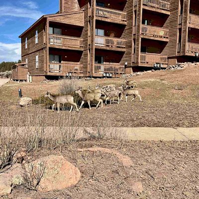 10 Valley Rd, Angel Fire, NM 87710