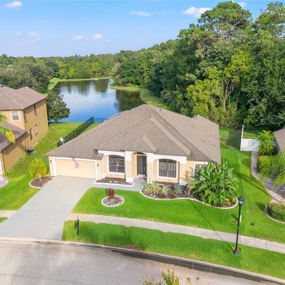 10918 Rain Lilly Pass, Land O Lakes, FL 34638