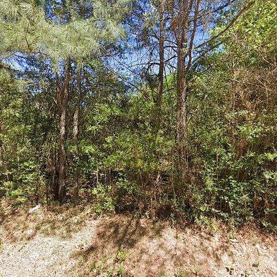 117 Foster Rd, Sumrall, MS 39482