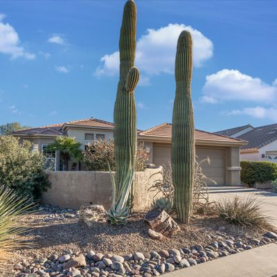 13724 N Wild Hazel Ln, Marana, AZ 85658