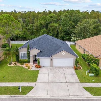 16334 Nikki Ln, Odessa, FL 33556