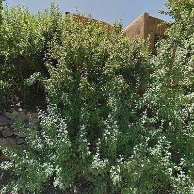 1710 Canyon Rd, Santa Fe, NM 87501