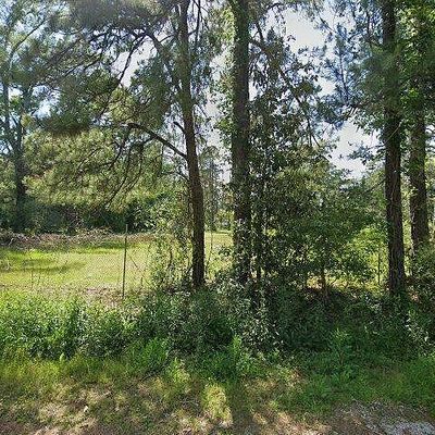 1580 Baldwin Loop, Longville, LA 70652