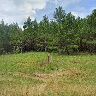 17657 Highway 56, Chatom, AL 36518