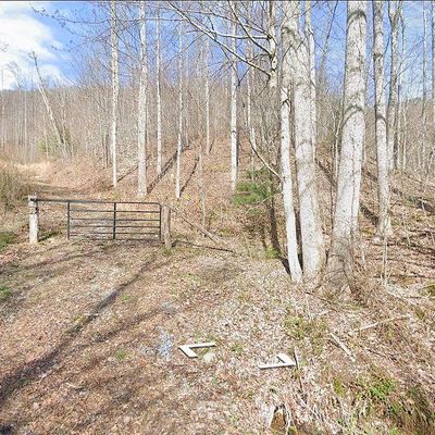 1800 Mauney Cv Rd, Waynesville, NC 28786