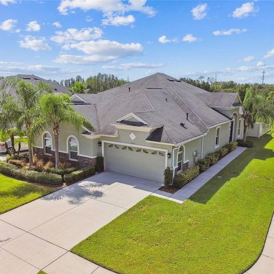 20610 Amanda Oak Ct, Land O Lakes, FL 34638