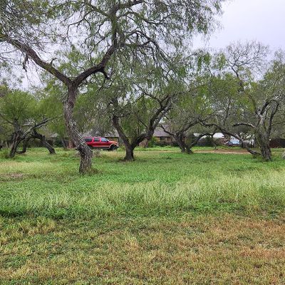 239 Lonnie Ln, Kingsville, TX 78363