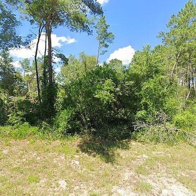 2648 Sw 146th Place Rd, Ocala, FL 34473