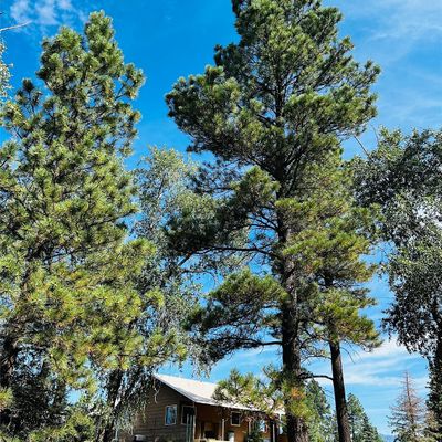 2759 South Hwy 84/64, Chama, NM 87520