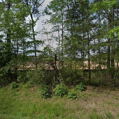 256 Murray Falls Ln, Chapin, SC 29036