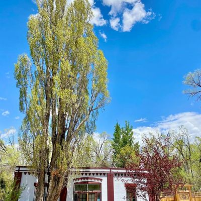 330 Christy Ave, Saguache, CO 81149