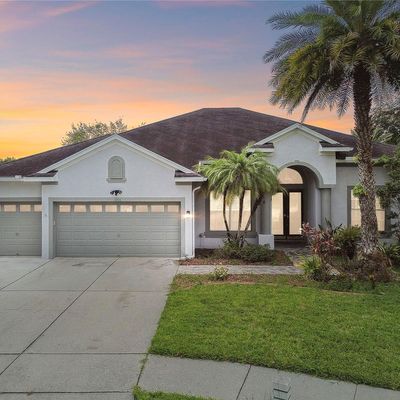 3205 Hanging Vine Ct, Land O Lakes, FL 34639