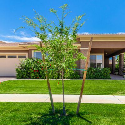 3739 E Sagebrush St, Gilbert, AZ 85296