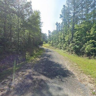 5 Hammock Rd, Carriere, MS 39426