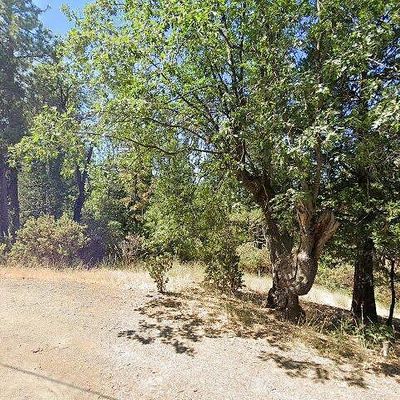 52547 Pine Cove Rd, Idyllwild, CA 92549