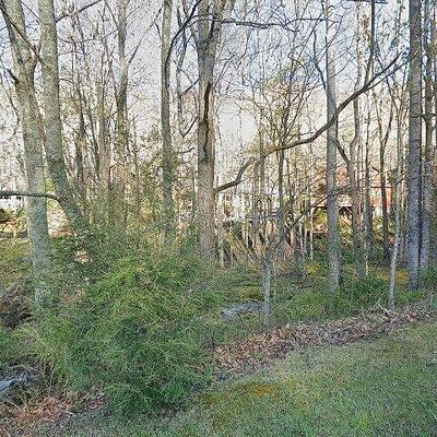 50 Cottontail Trl, Maggie Valley, NC 28751