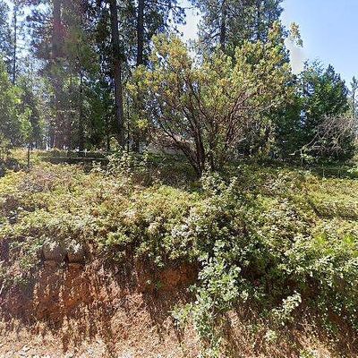 5000 Omo Ranch Rd, Somerset, CA 95684