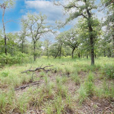 Tbd Vivroux Ranch Rd, Seguin, TX 78155