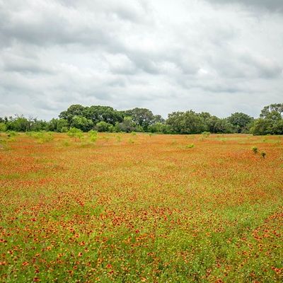 Tract 1 Tbd County Road 292, Early, TX 76802