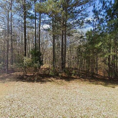 171 Evelyn Dr Lot 4, Greenville, GA 30222