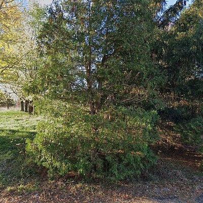 2074 Kizzie Run Rd, Rarden, OH 45671