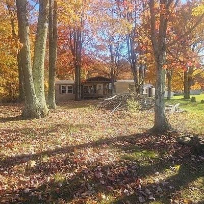 424 Indian Rock Rd, Reedsville, WV 26547