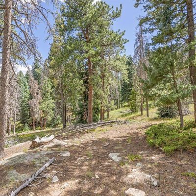 8570 S Warhawk Rd, Conifer, CO 80433